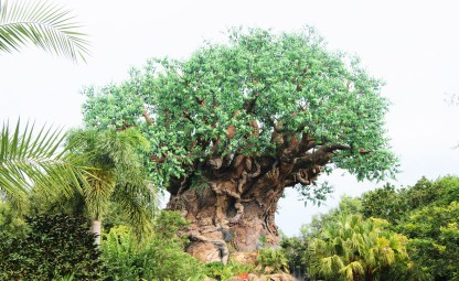 tree of life.jpg